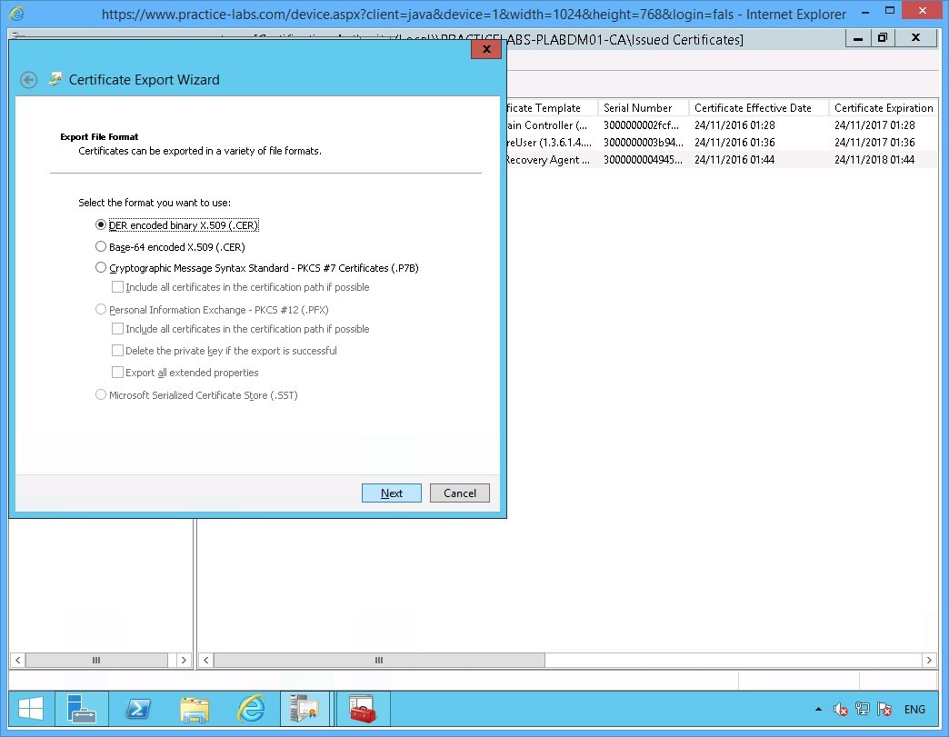 Practice Labs screenshot.
